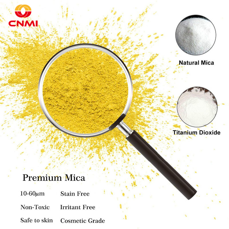 100g Royal Gold Mica Poeder Pa - Resin Dye Opaque recensie en prijs